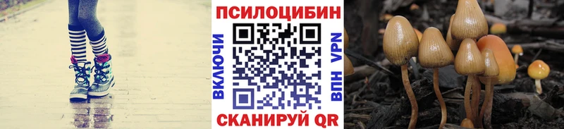 закладка Киреевск blacksprut как зайти Псилоцибиновые грибы Magic Shrooms