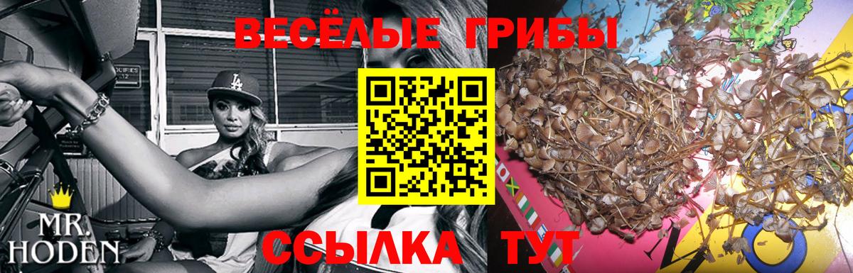 Галлюциногенные грибы GOLDEN TEACHER Киреевск